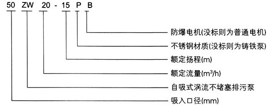 不堵塞排污泵